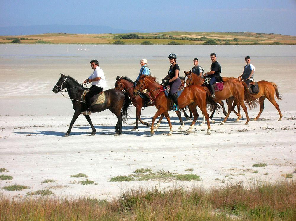 Horse Country Resort Congress & Spa - Hotel Ribot Arborea Exteriér fotografie